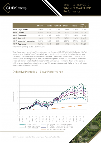 GDIM Investment Portfolio Performance Insert